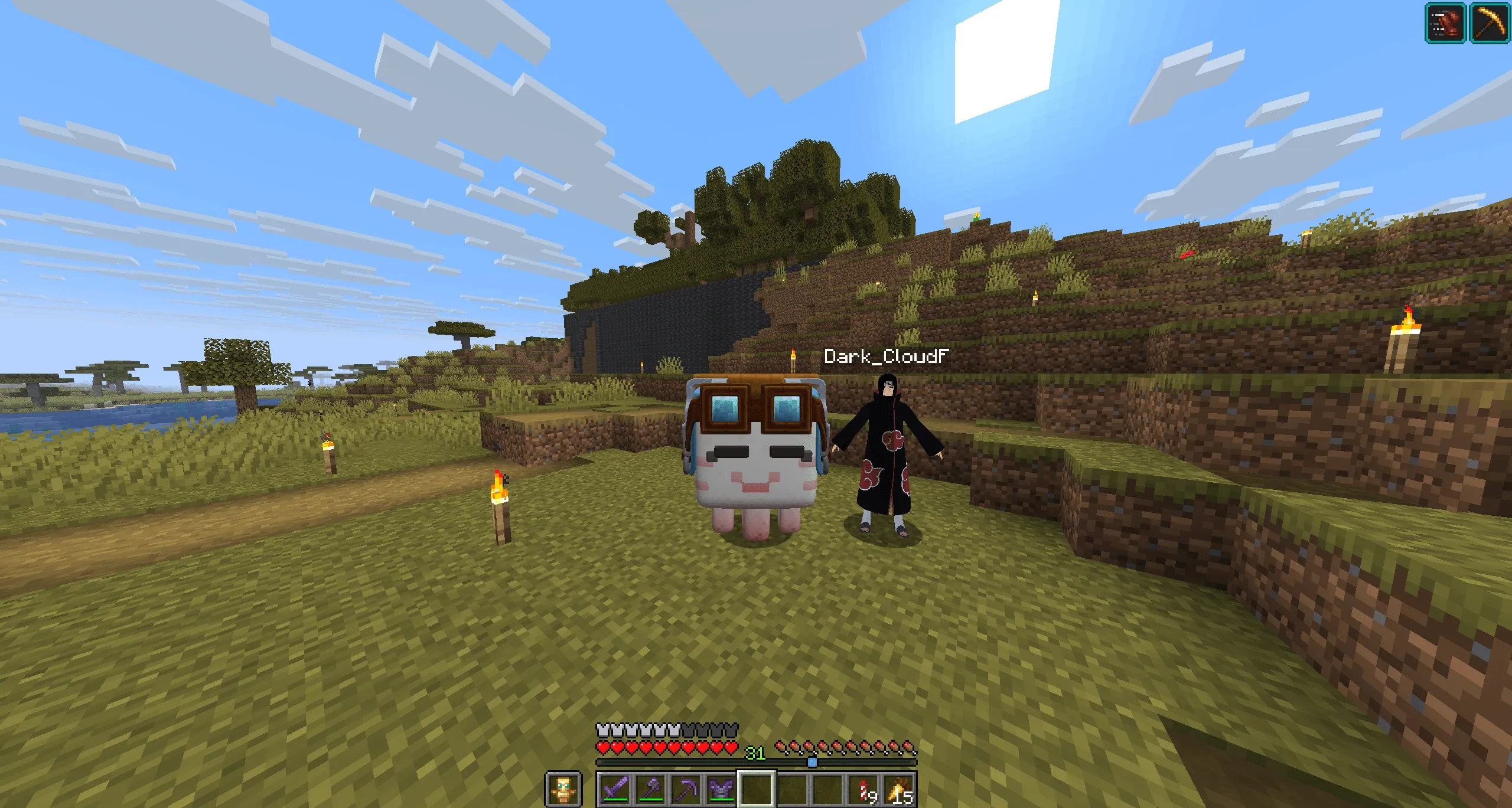 All The Skins — скриншот 1 (Моды, Minecraft)