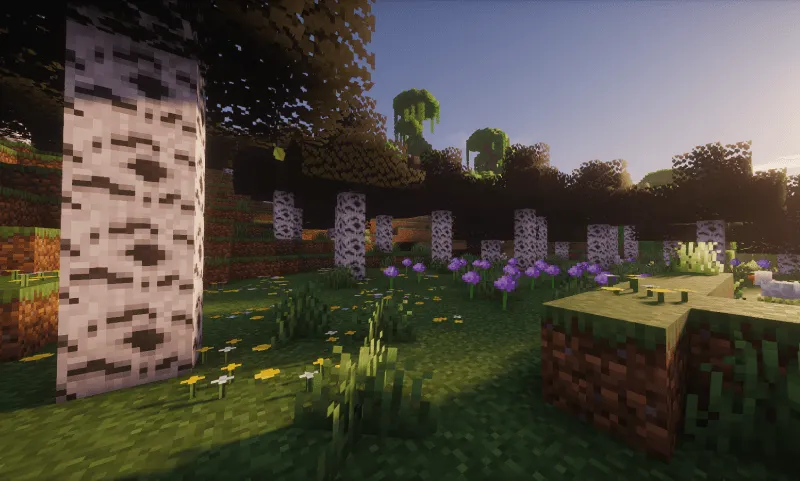 Clotard's Hyposphagma Forest - Dark Birch Forest, Текстуры, Minecraft