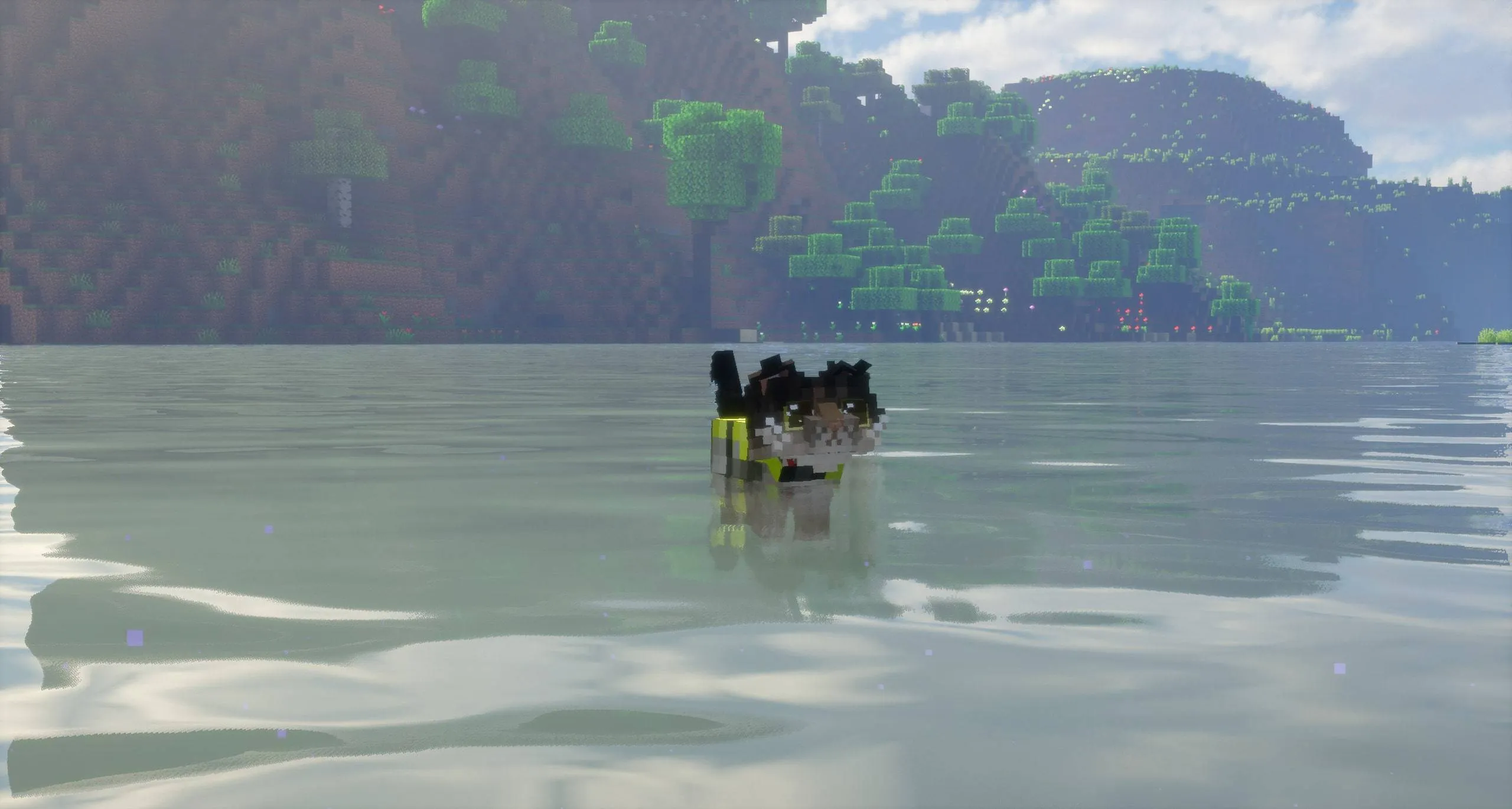 Refined Cats, Текстуры, Minecraft