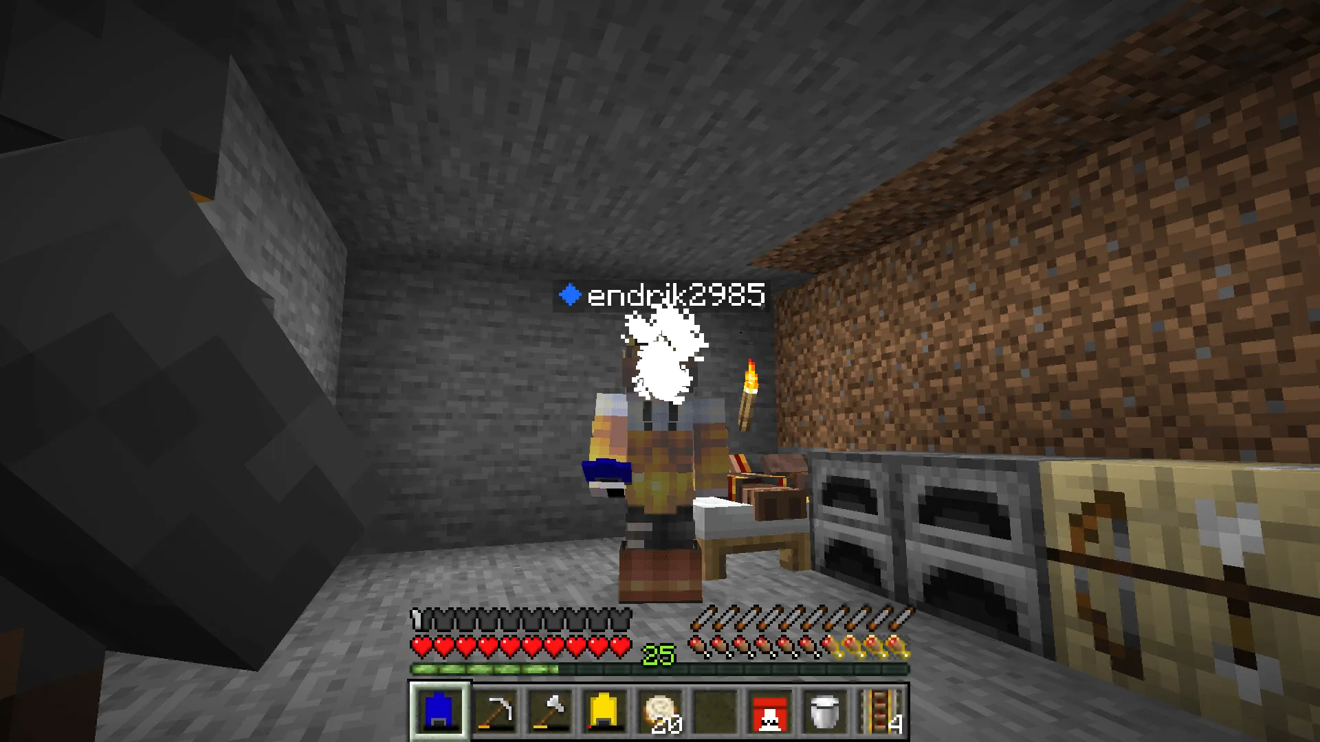 Immersive Addictives, Моды, Minecraft