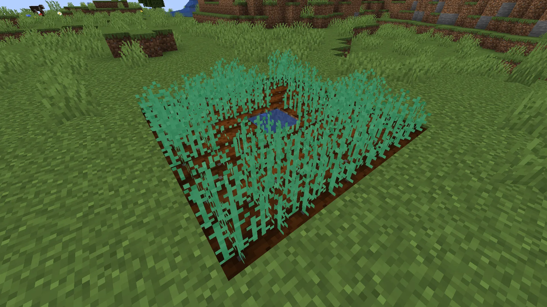 BlockyChef, Моды, Minecraft