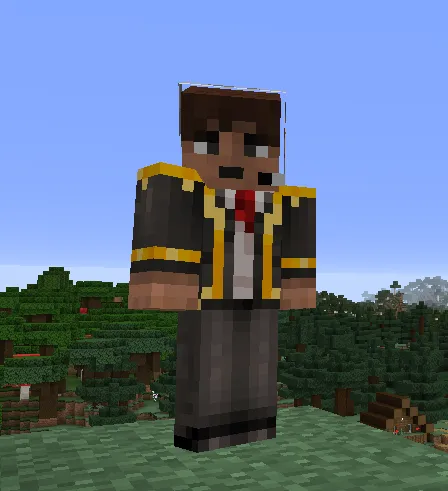 No Player Labels, Моды, Minecraft