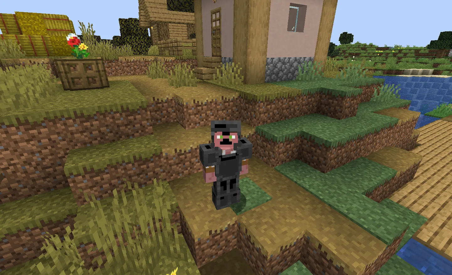 P Rolplay, Моды, Minecraft