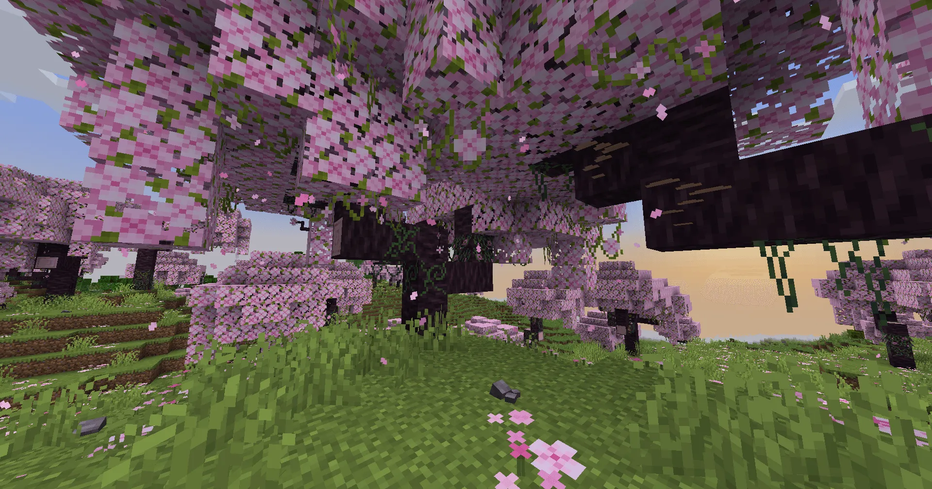 Musgo, Текстуры, Minecraft