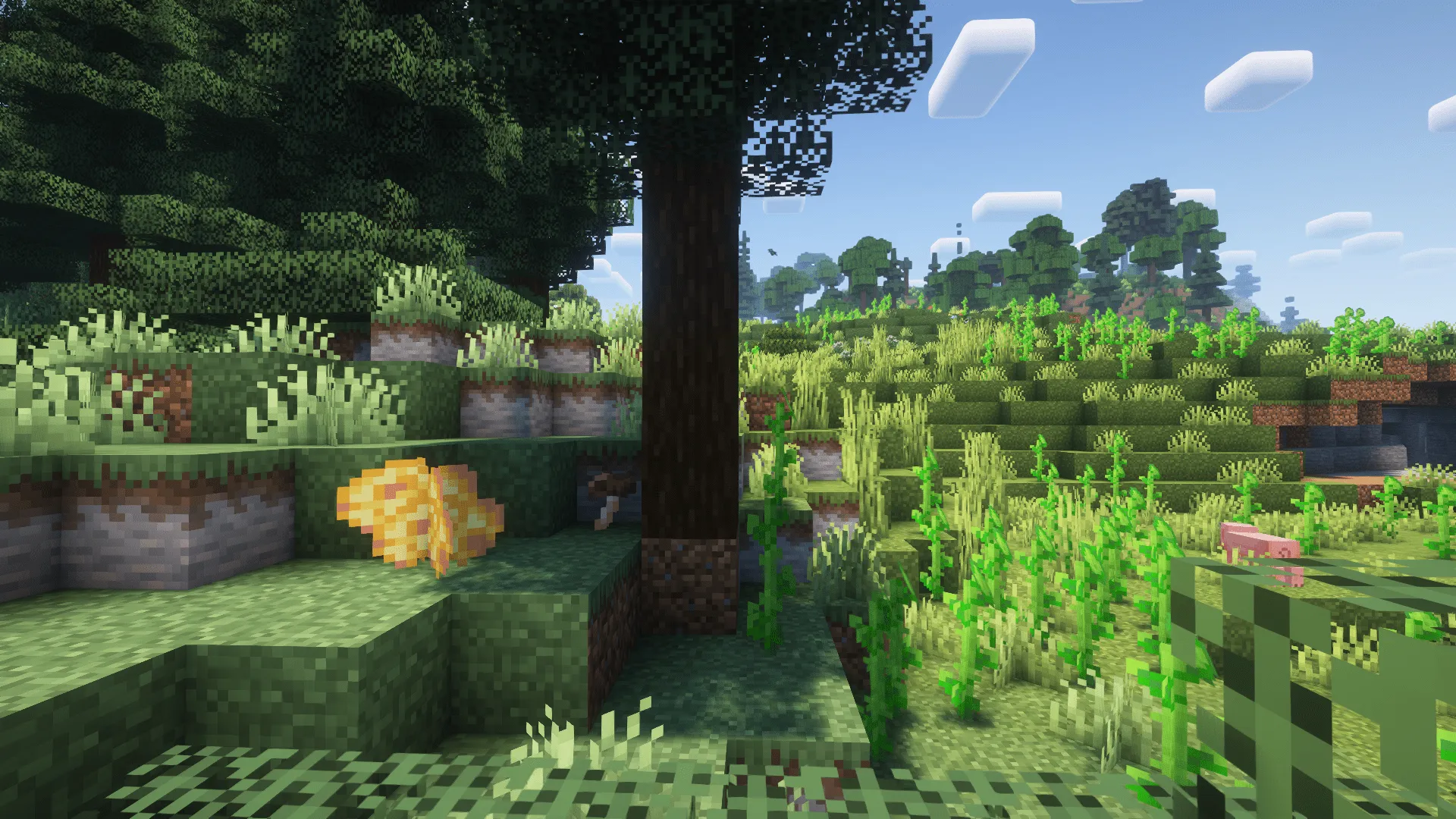 Shroomtopia 🍄‍🟫, Моды, Minecraft