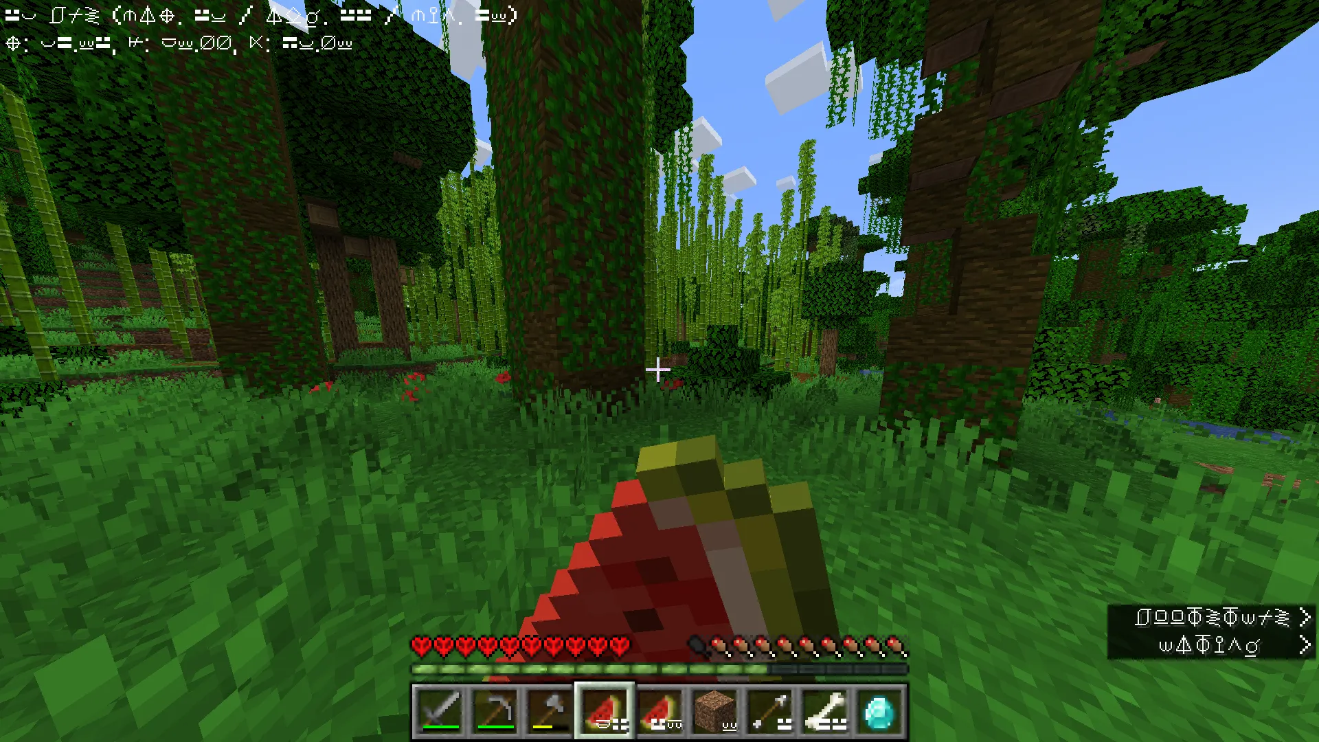 ESI Language Translation, Текстуры, Minecraft