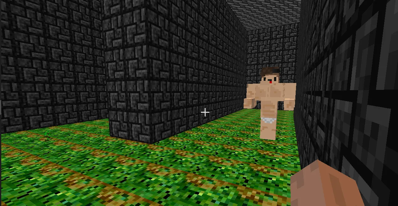 Erdmen's Labirents, Моды, Minecraft