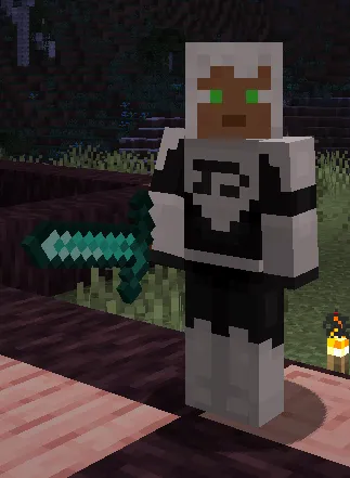Phantom Accessories, Моды, Minecraft