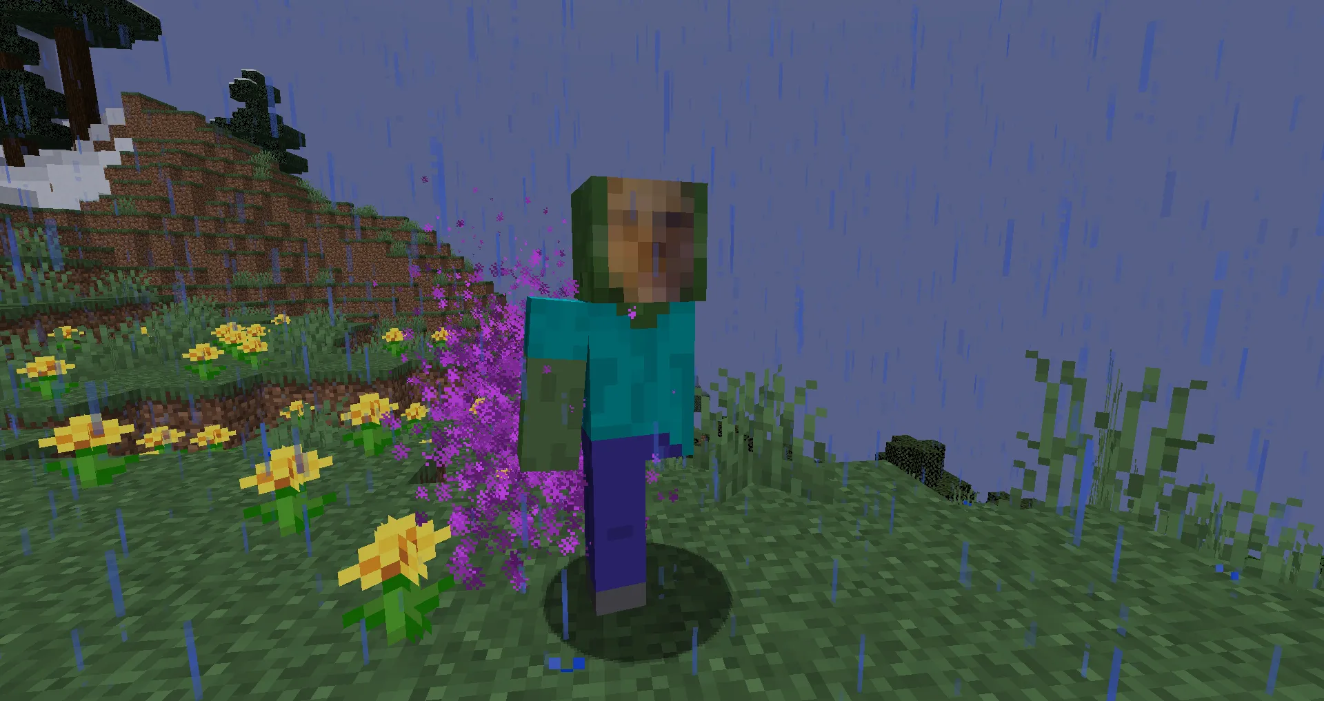 Noahs Chaos, Моды, Minecraft