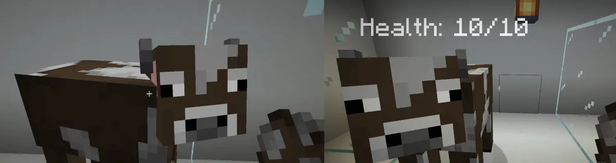 hidename(nick) and Player health show and (Nick Change)-Hidden Name, Моды, Minecraft