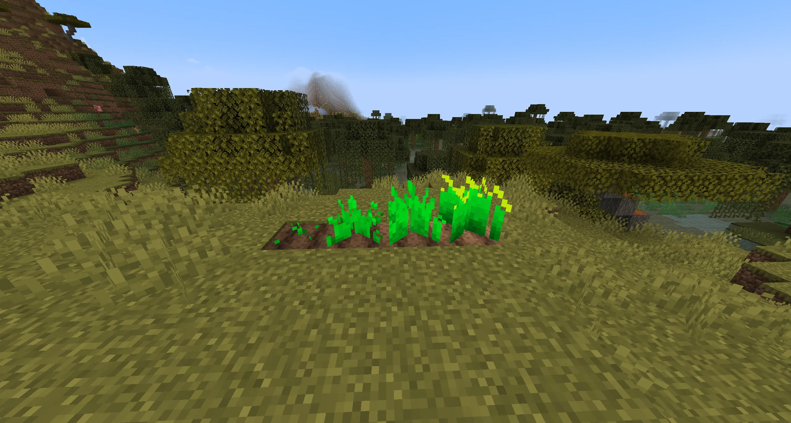 Guttaco Rice! — скриншот 1 (Моды, Minecraft)