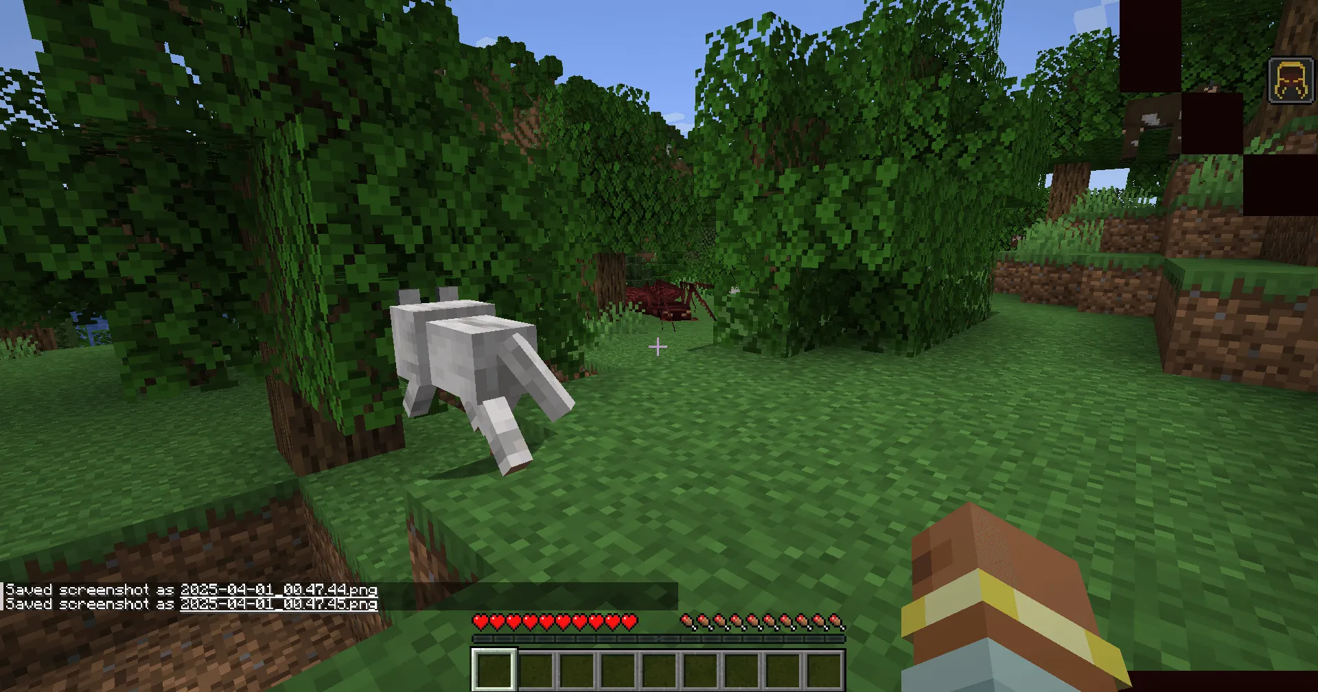 project-1100571, Моды, Minecraft