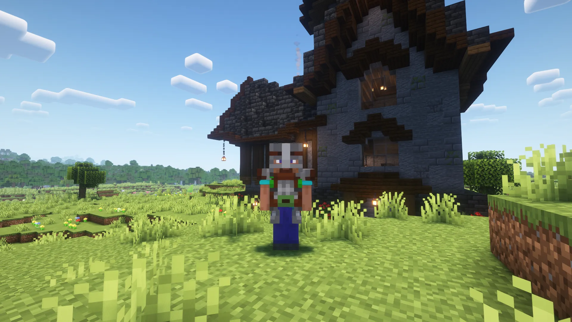 Plains Villager Trader, Моды, Minecraft