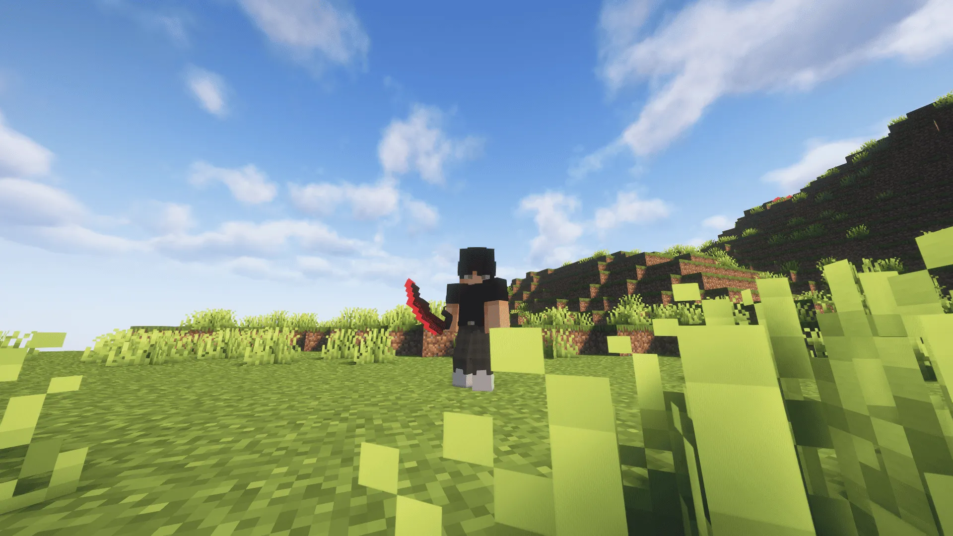 Savage Blood Magic, Моды, Minecraft