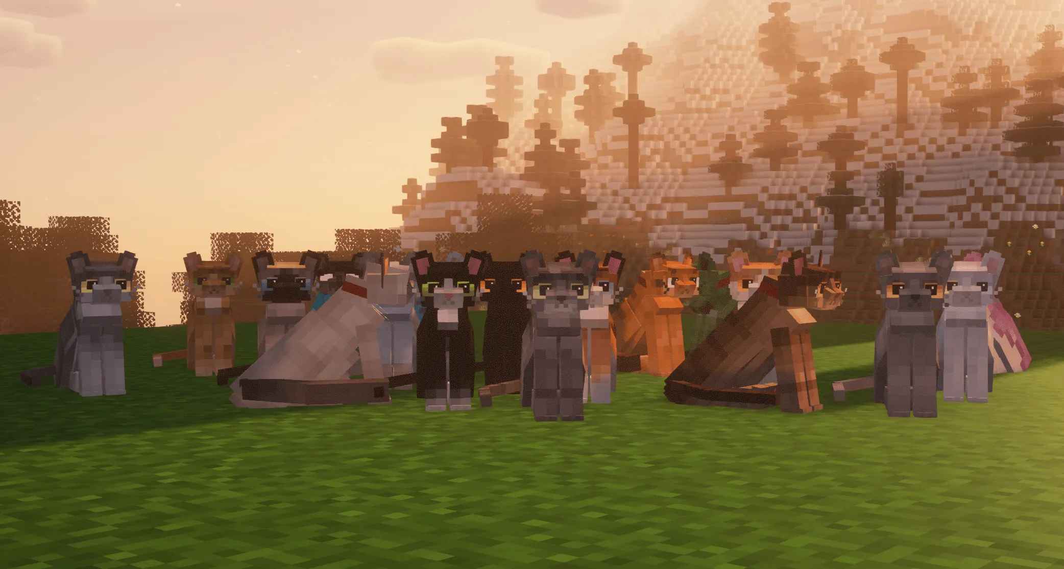 Refined Cats, Текстуры, Minecraft