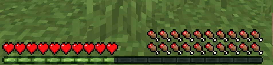 Hunger Plus, Моды, Minecraft