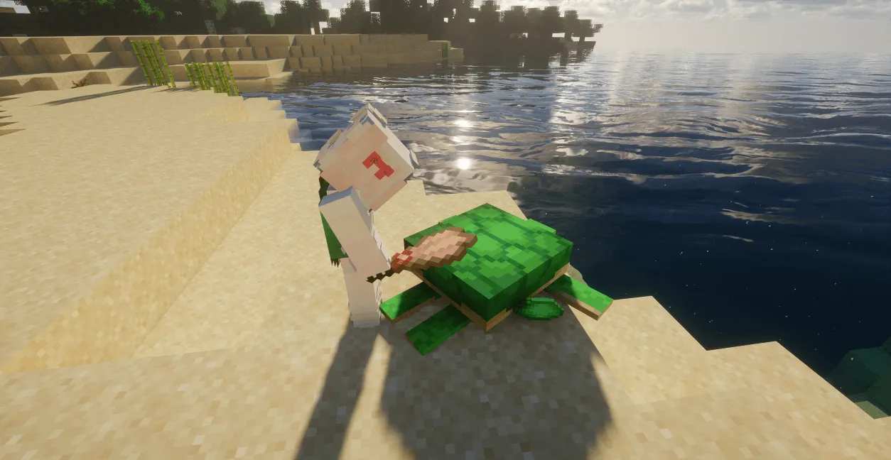 Better Turtle Scute, Моды, Minecraft