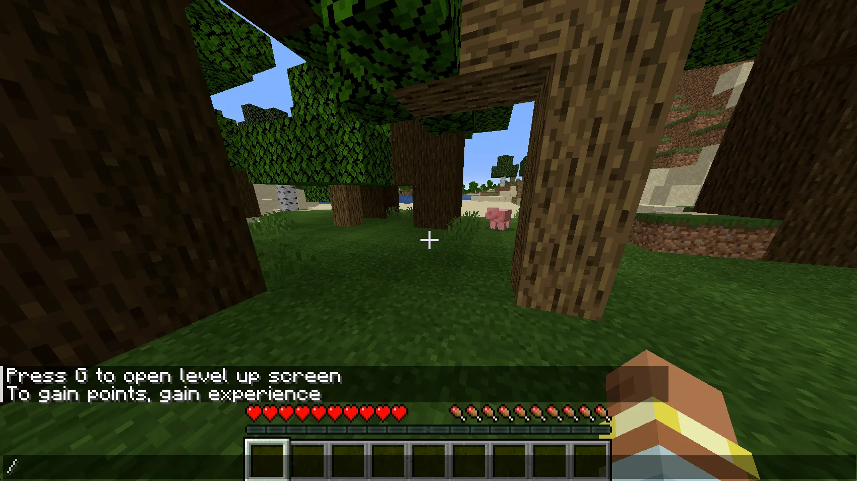 A simple level up gui. — скриншот 3 (Моды, Minecraft)
