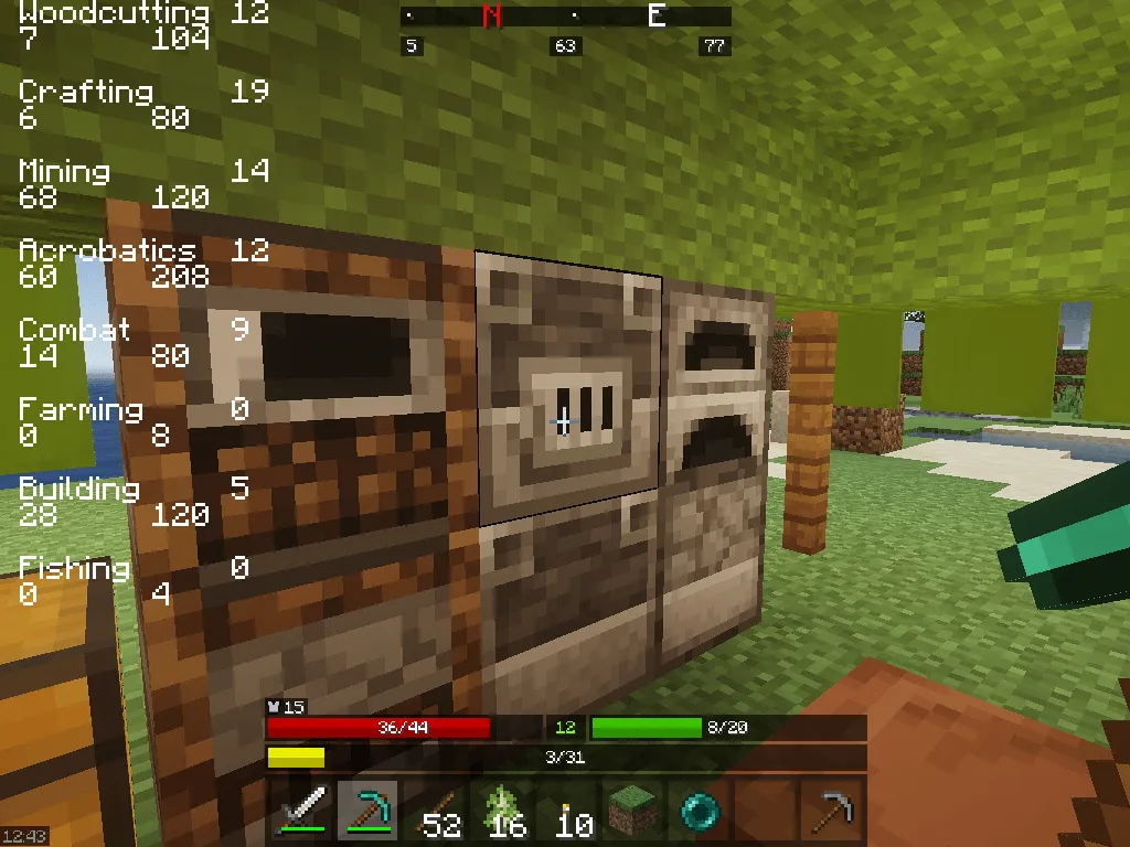 A Rat's RPG, Моды, Minecraft