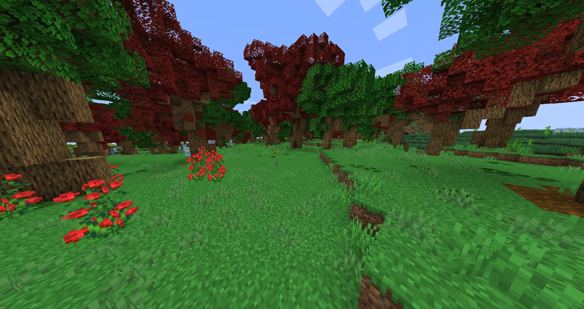 Dragon-Craft — скриншот 3 (Модпаки, Minecraft)