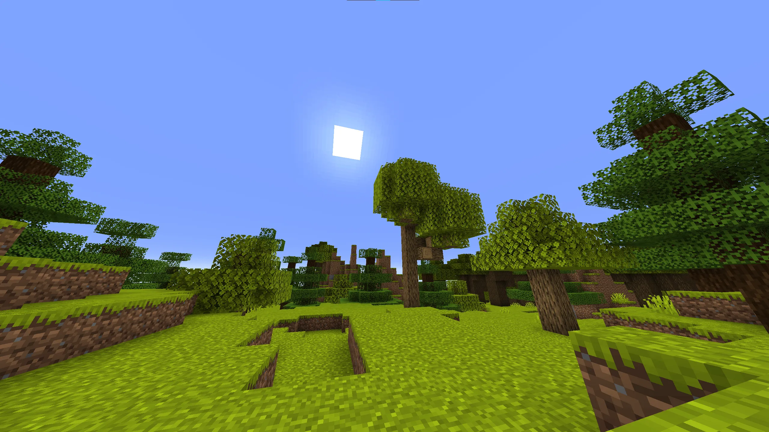 Simple Seasons, Моды, Minecraft