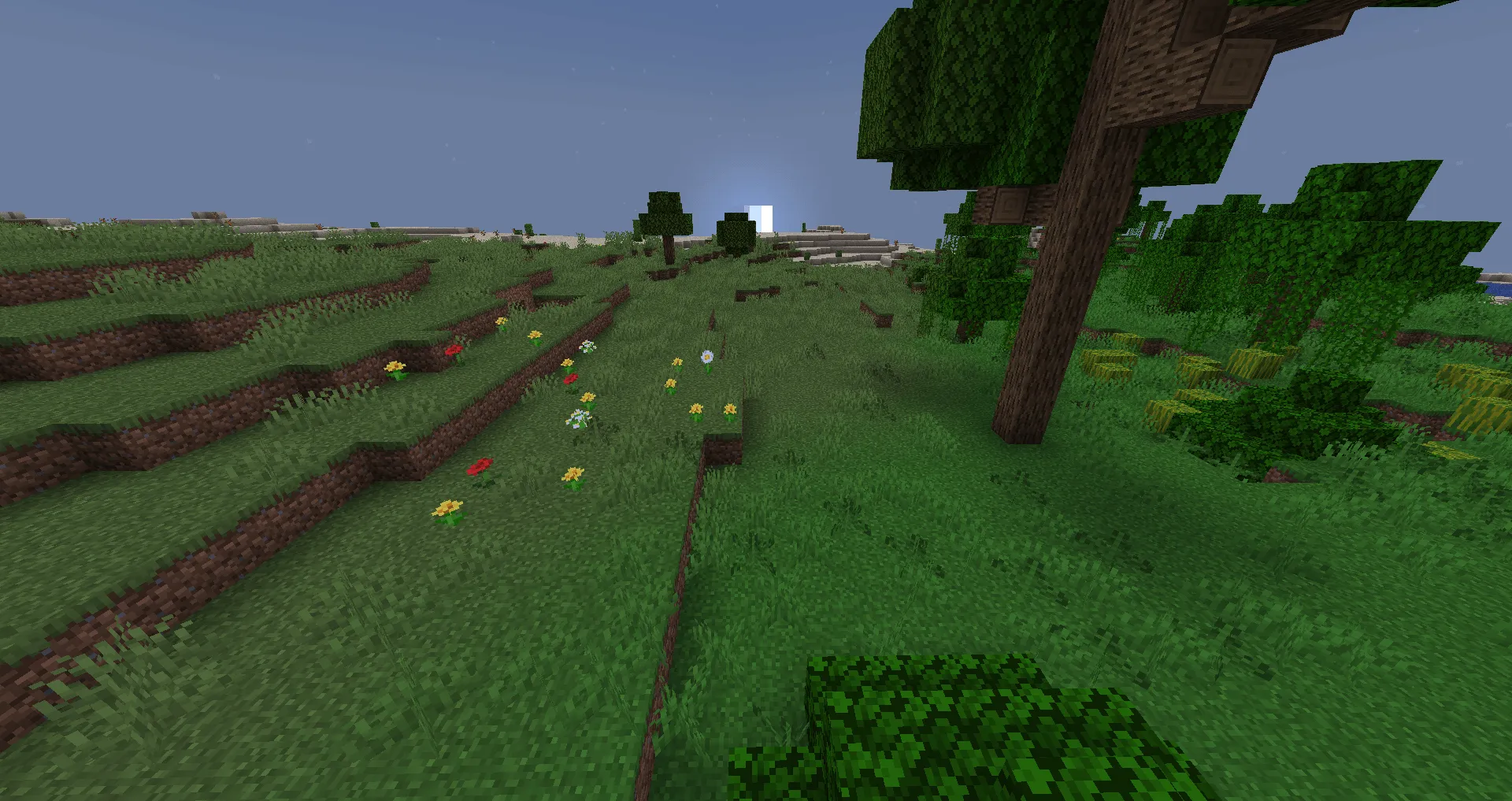 Alpha Grass — скриншот 2 (Текстуры, Minecraft)