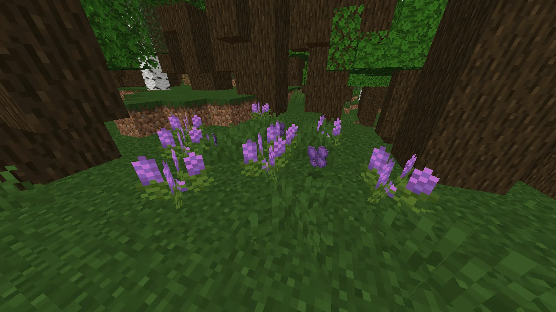 Spiced! - [Farmer's Delight Add-on], Моды, Minecraft