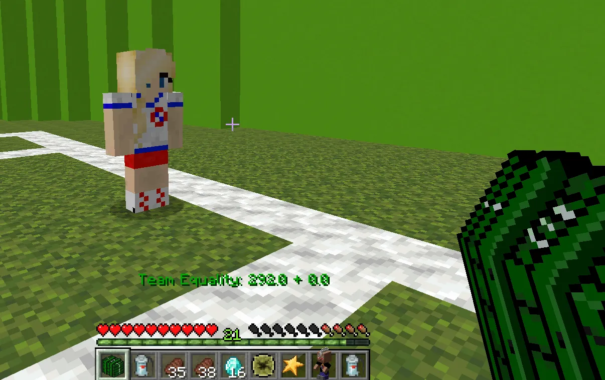 Mineball Manager, Моды, Minecraft