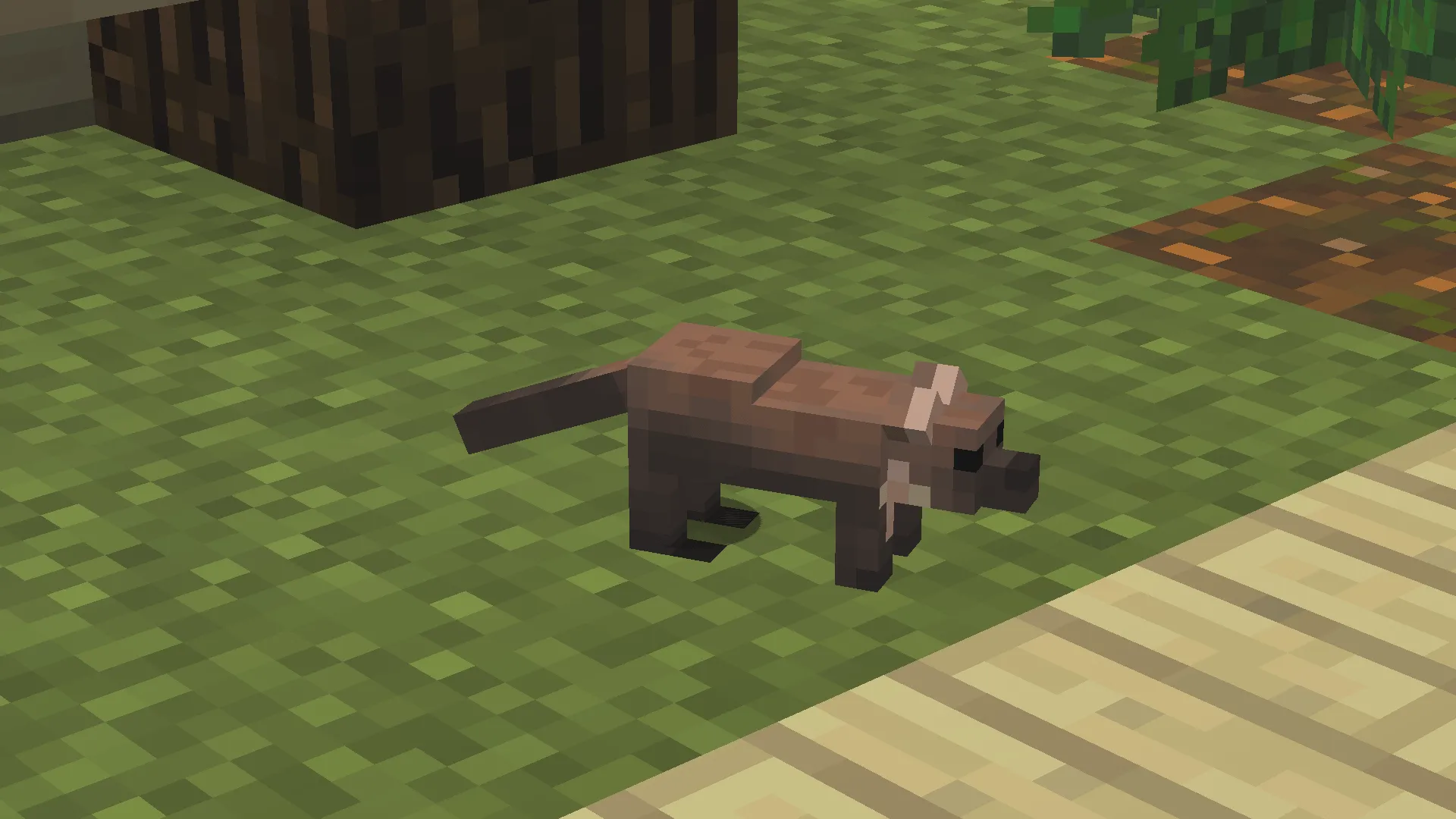 European Wildlife — скриншот 16 (Моды, Minecraft)