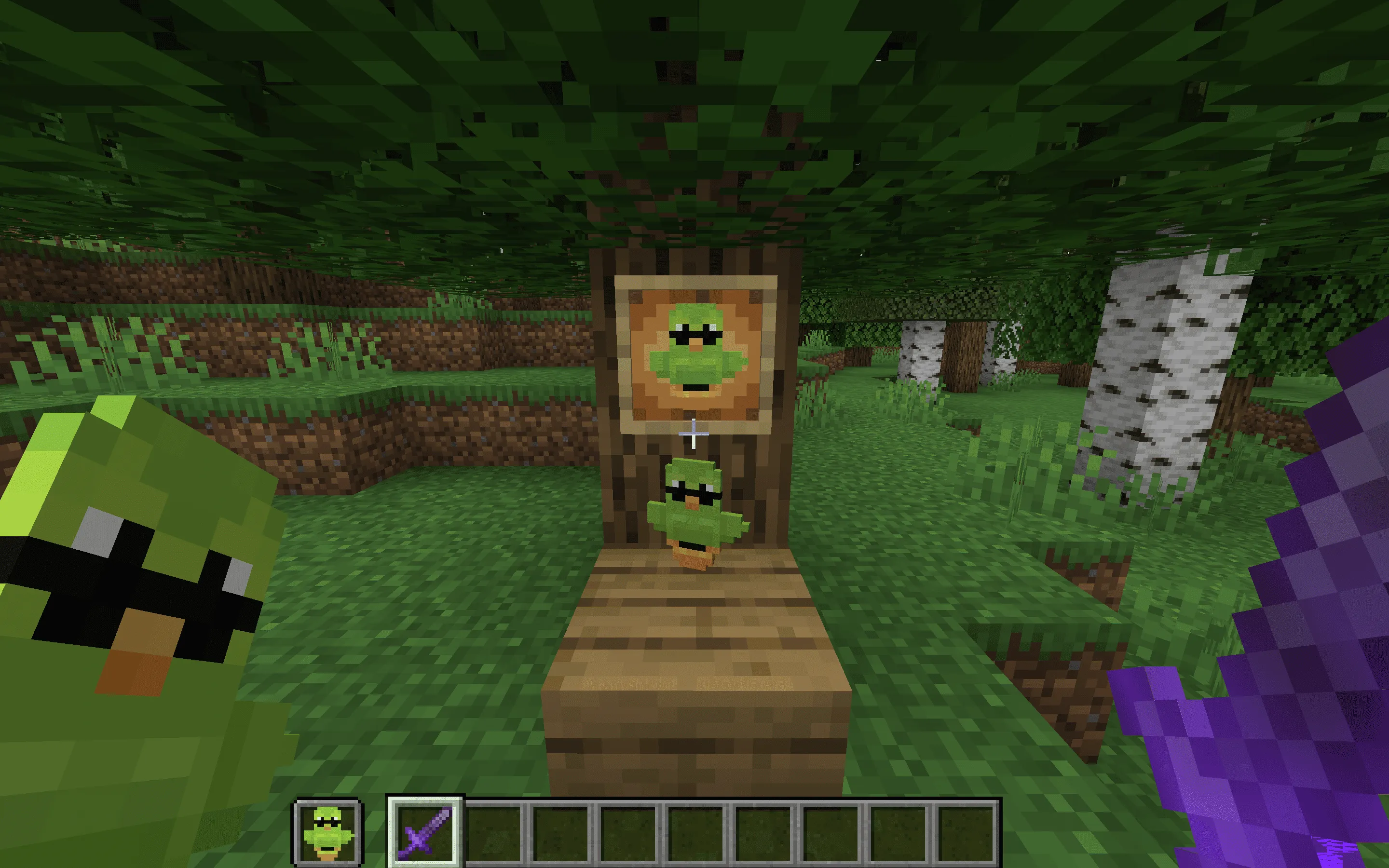 Duolingo Totem of Undying, Текстуры, Minecraft