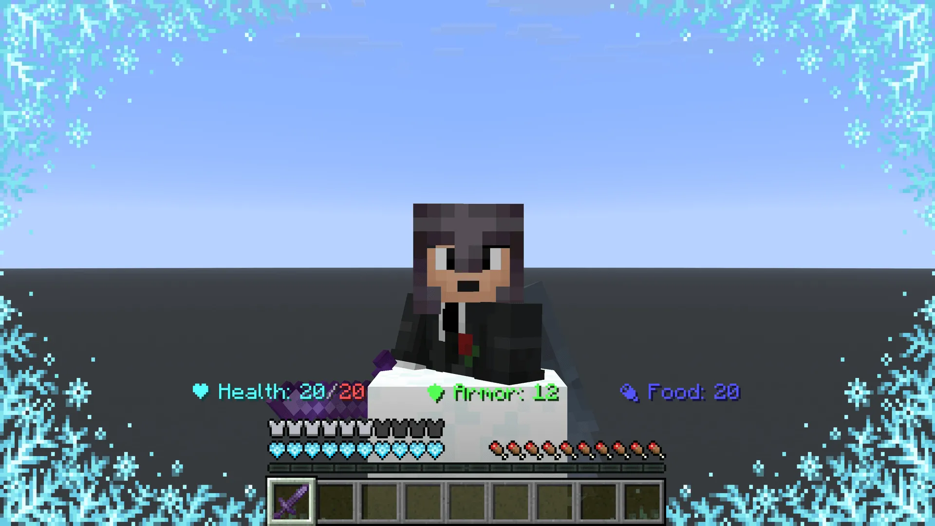 Professional Status Bar, Моды, Minecraft
