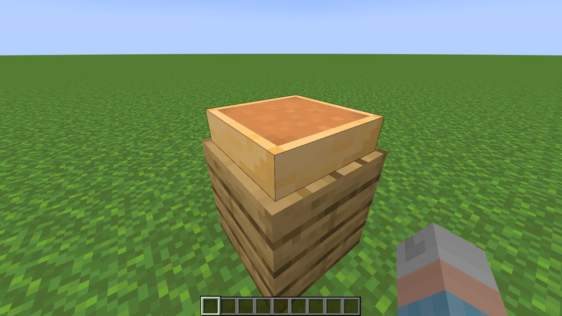 Placeable Pumpkin Pie, Моды, Minecraft