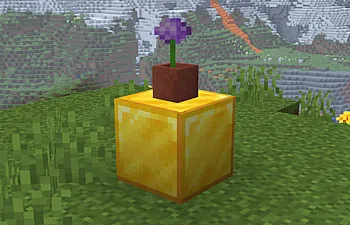 Fairy Rings, Моды, Minecraft