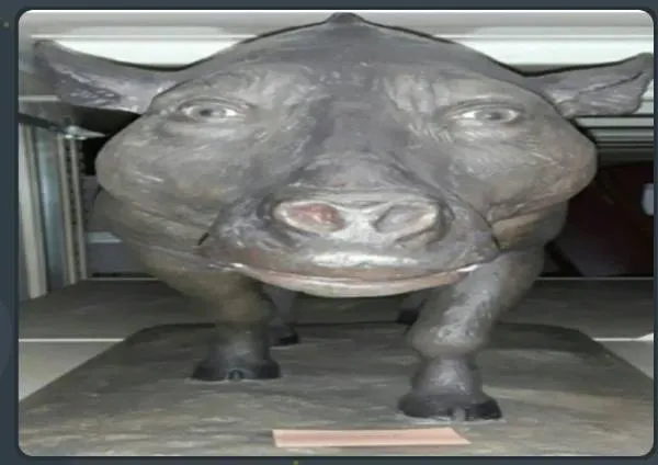 The Meme From The Shadow, Моды, Minecraft