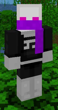 Phantom Accessories, Моды, Minecraft