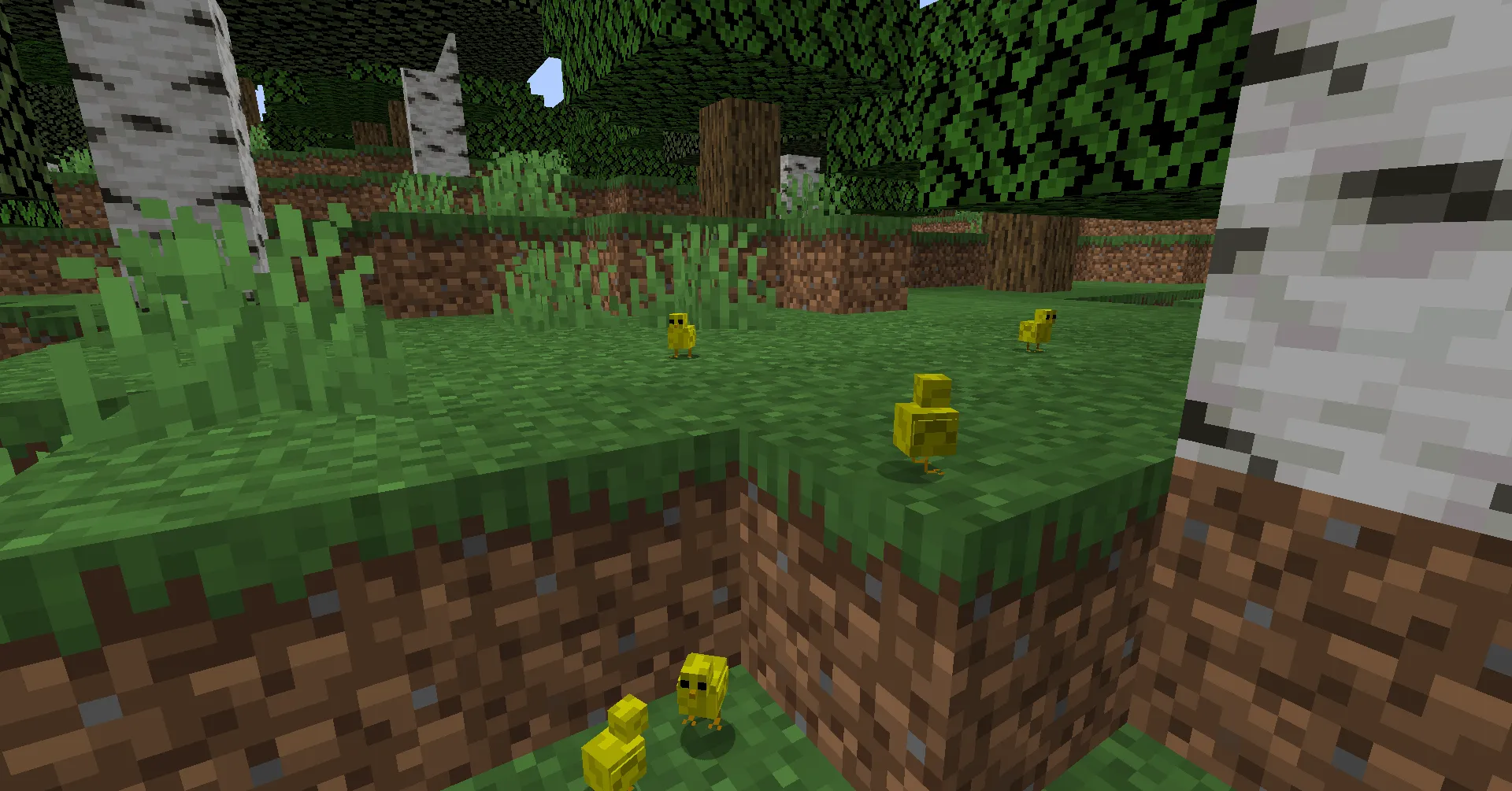 What the duck!, Моды, Minecraft