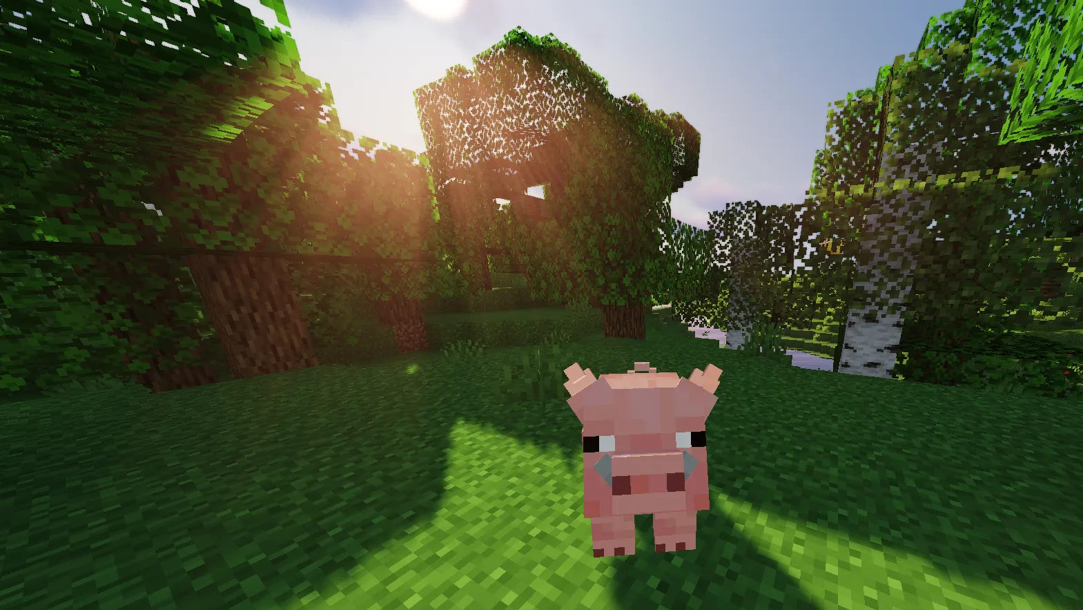 Kawaii Piggy Pack — скриншот 4 (Текстуры, Minecraft)