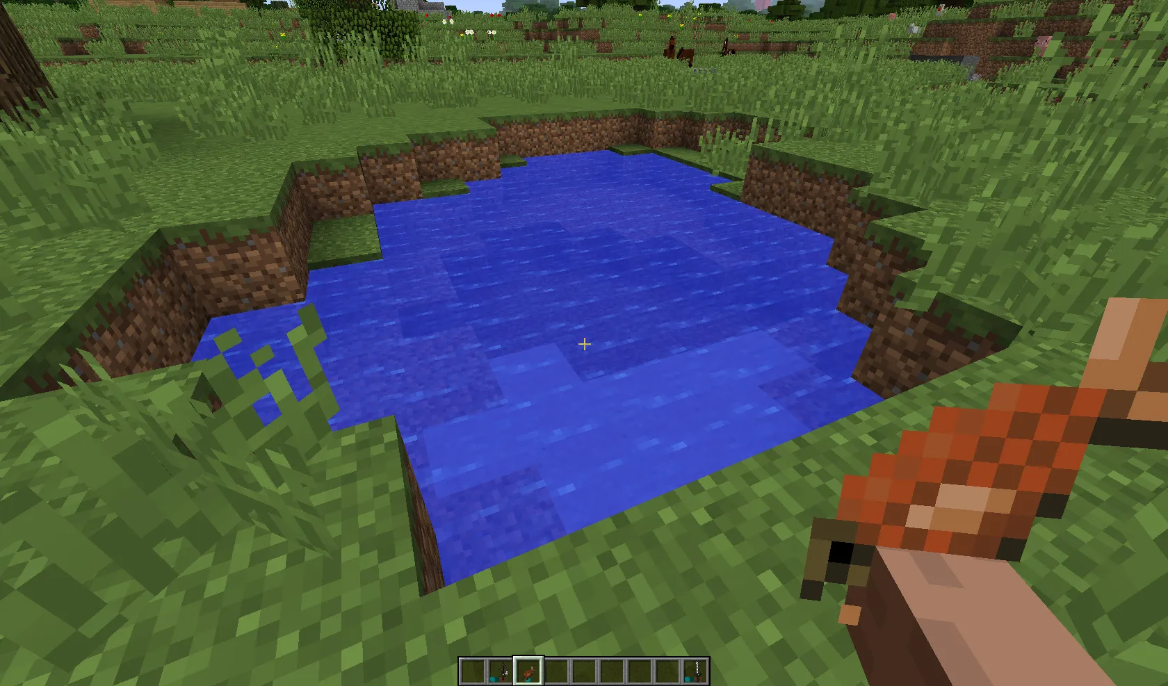 Hold in hands, Текстуры, Minecraft