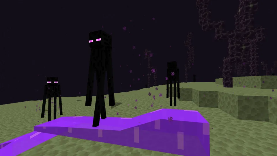 The End and The Nether, Моды, Minecraft