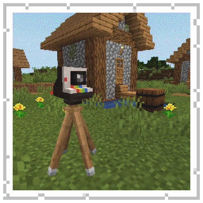 Exposure: Polaroid, Моды, Minecraft