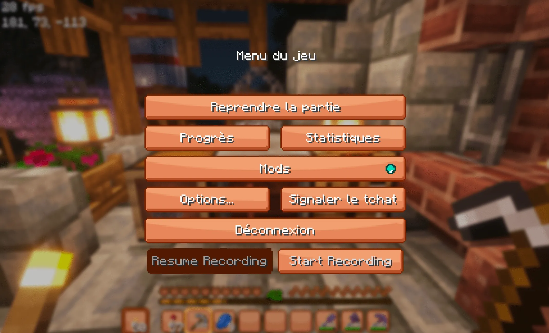 Pusheen GUI, Текстуры, Minecraft