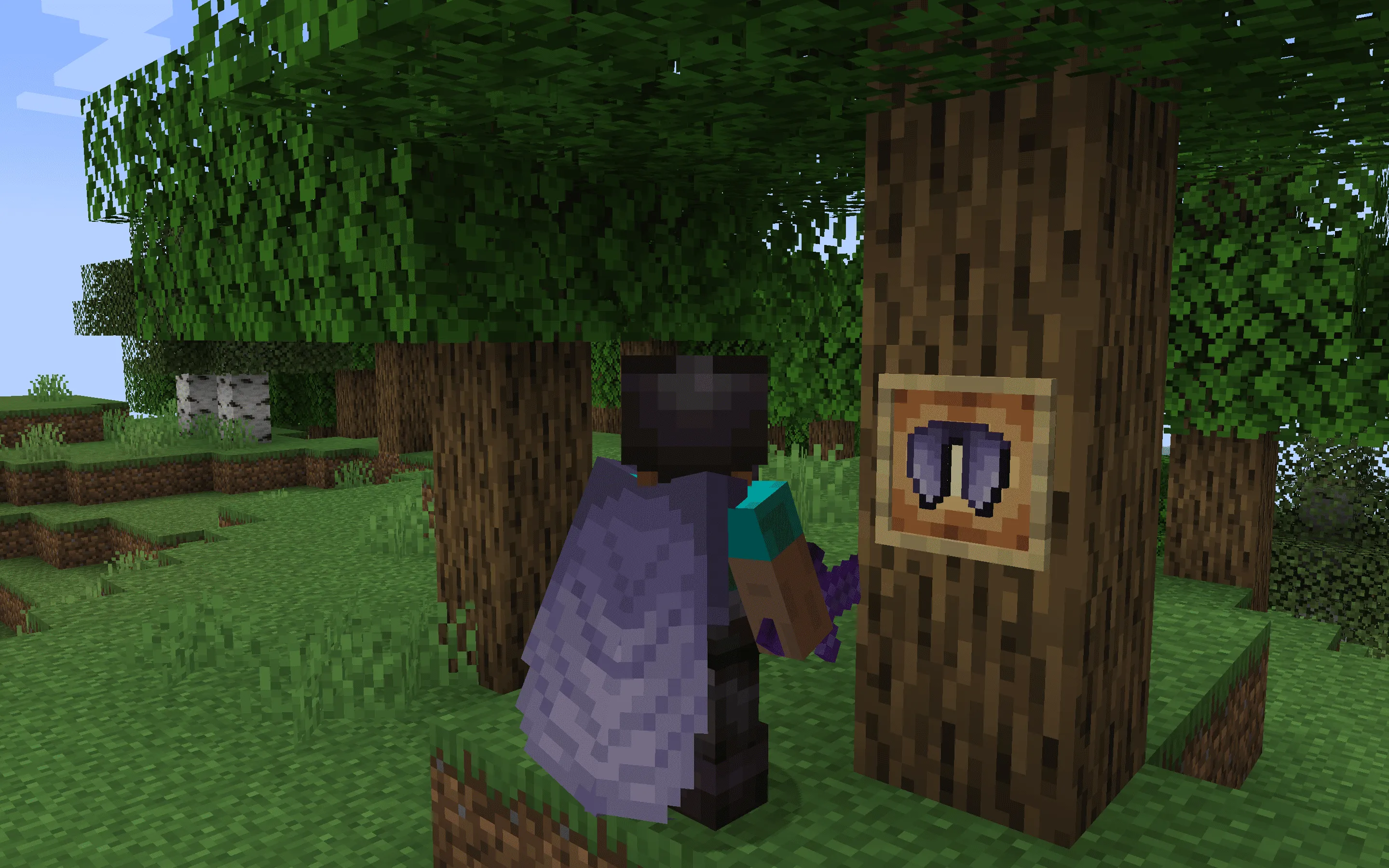 Classic+ Elytra - Better Wings, Текстуры, Minecraft