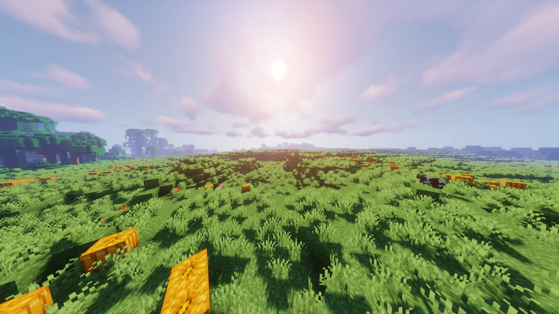 Db's Vanilla Biomes, Моды, Minecraft