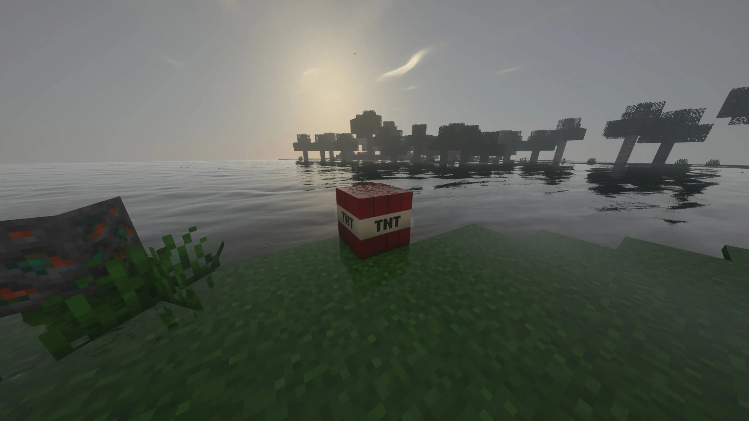 TNT texture (From MC Movie), Текстуры, Minecraft