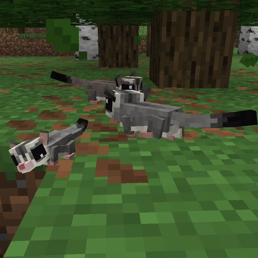 Animal Garden - Sugar Glider, Моды, Minecraft