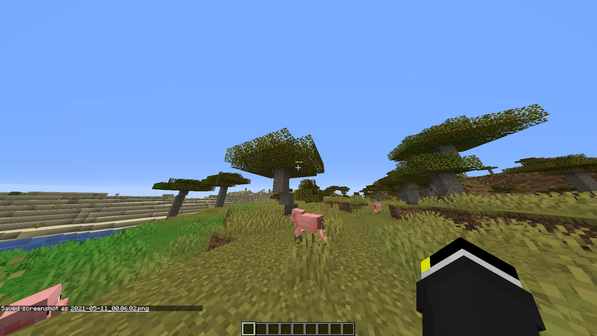 Togglesprint Viewer, Моды, Minecraft