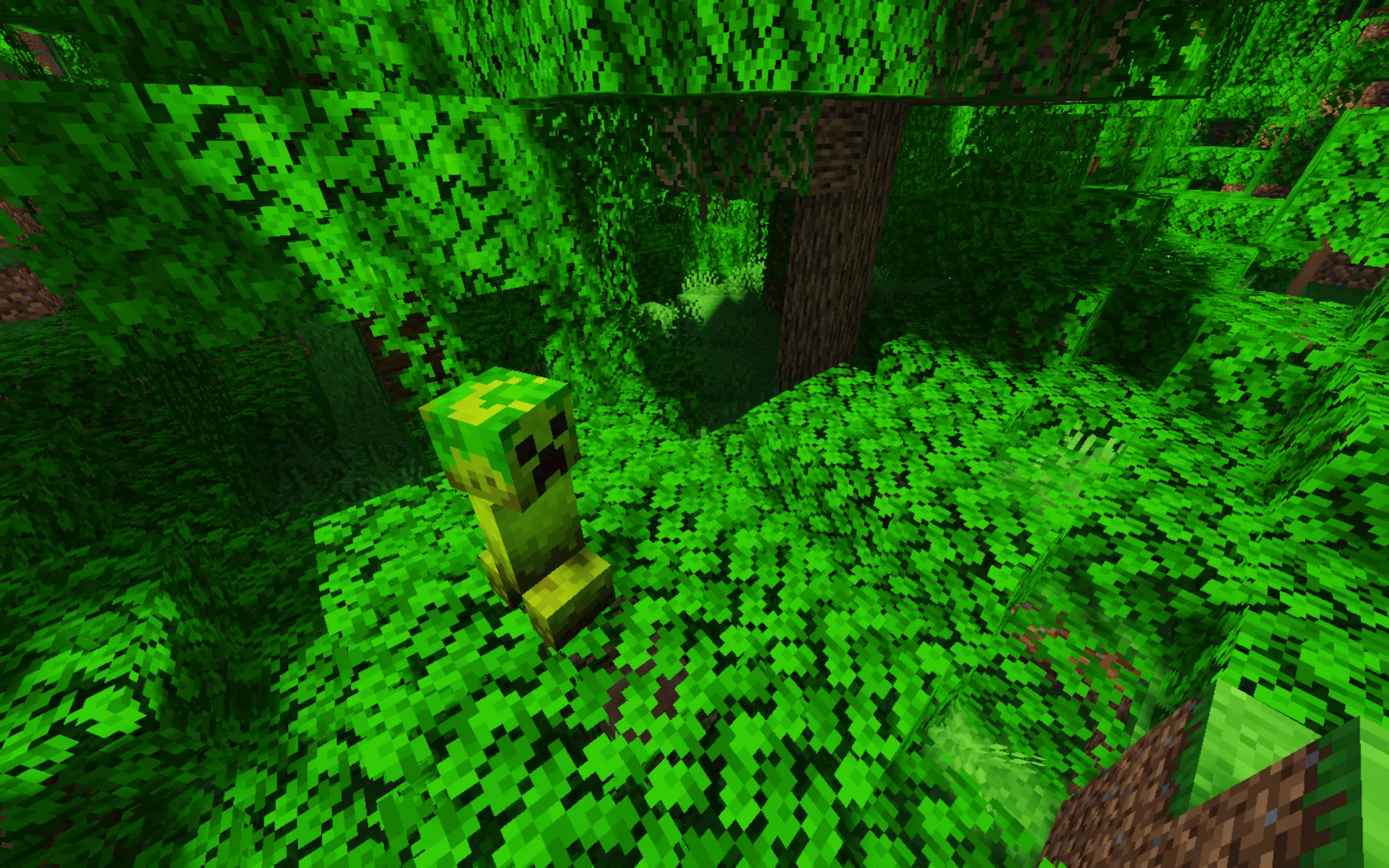 Camouflaged Creepers, Текстуры, Minecraft
