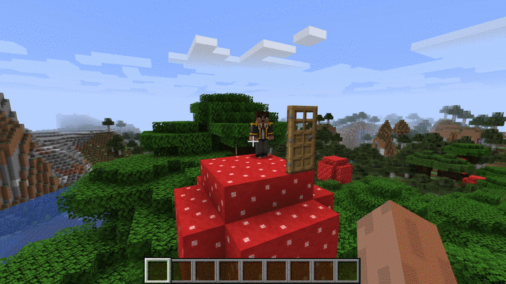 No Player Labels, Моды, Minecraft