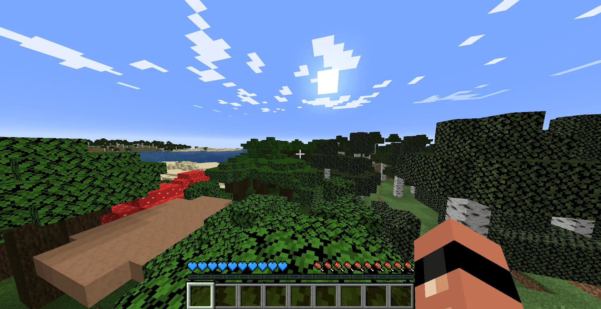 Blue Hearts Cyan, Текстуры, Minecraft