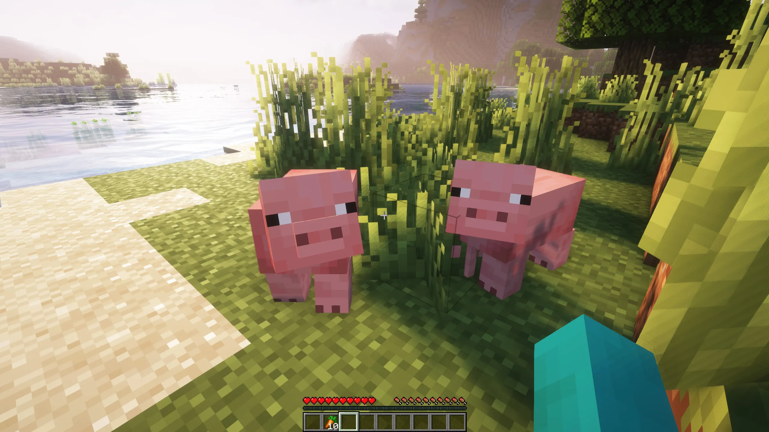 Longer Following Time — скриншот 6 (Моды, Minecraft)